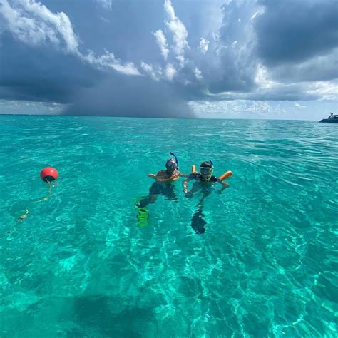 Islamorada Snorkeling Private Tours Islamorada Coastal Adventures