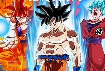 Goku Fase Dios 4 Ssj Saiyan Yamoshi Dbz Saiyajin Dbs Vegeta Sangoku