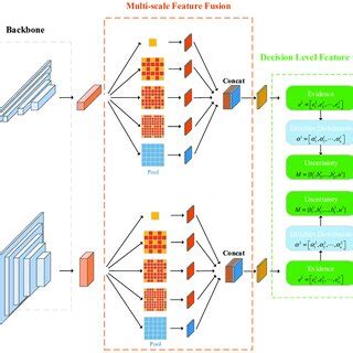 structure  mafn  scientific diagram