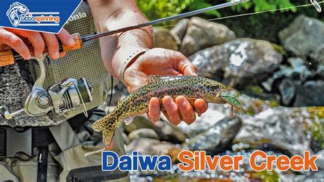 Spinning Casting A Pesca Di Trote In Valtellina Con Le Nuove Silver