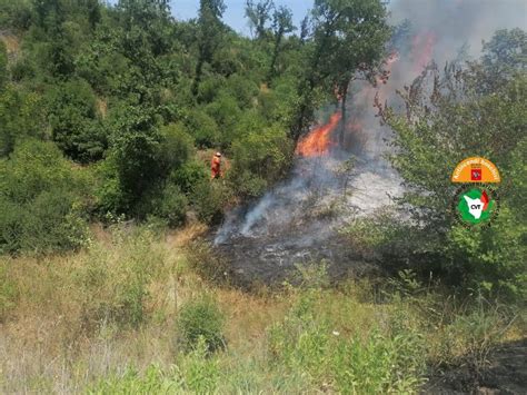 Incendio In Maremma Bruciano I Boschi Di Manciano Fiamme Spinte Dal Vento