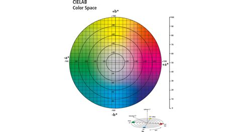 Introduction To Color Labels Labeling