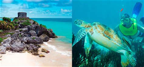 Tulum + snorkeling with turtles tour | Riviera Maya Discount Tours