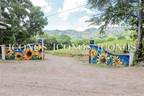 El Paseo de los Girasoles Copán Ruinas paraíso floral de la ciudad maya