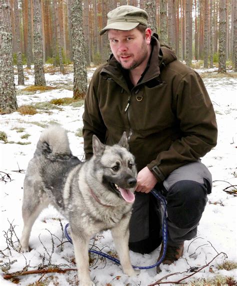 Nej till Bennys begäran om skyddsjakt Risken för angrepp är inte