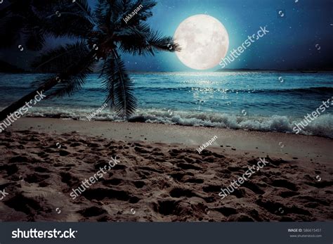 35,597 Night Romantic Beach Images, Stock Photos & Vectors | Shutterstock