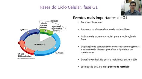 E Aulas Da USP Video 2 Fases Do Ciclo Celular