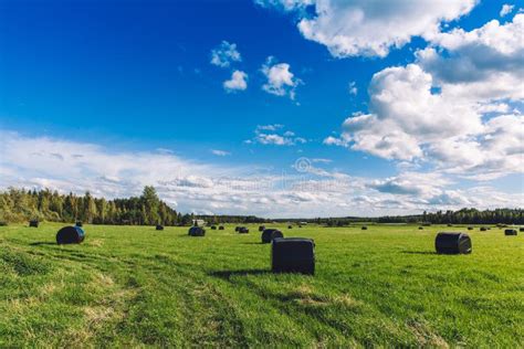 Beautiful Countryside Landscape Round Straw Bales In Black Plastic In