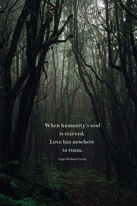 Soul Quotes To Love And Live By Momsoulsoothers Love Nature Quotes