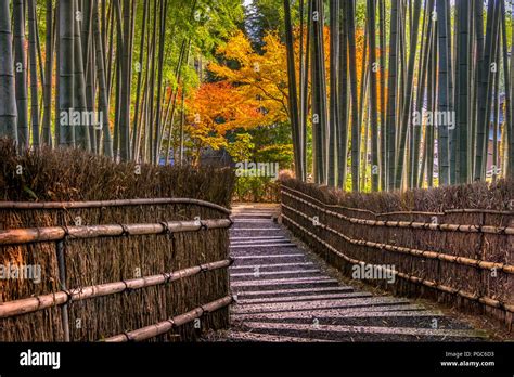 Arashiyama Bamboo Grove In Autumn Arashiyama Sagano Area Western