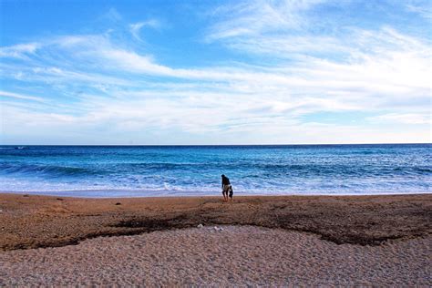 Cassis in South France : r/Beachporn