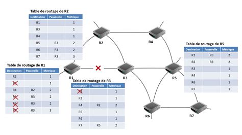 Protocoles De Routage Ressources De Terminale Nsi