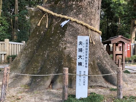 「伊弉諾神宮」国生み神話で有名なパワースポット！日本最古とされる神社【淡路島】 関西 旅行 観光情報なら【関西旅行ナビ】（かんなび）