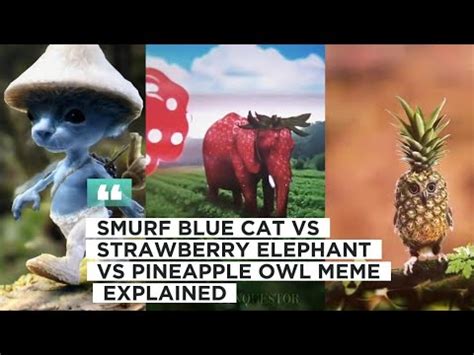 BLUE SMURF CAT Vs STRAWBERRY ELEPHANT Vs PINEAPPLE OWL MEME EXPLAINED