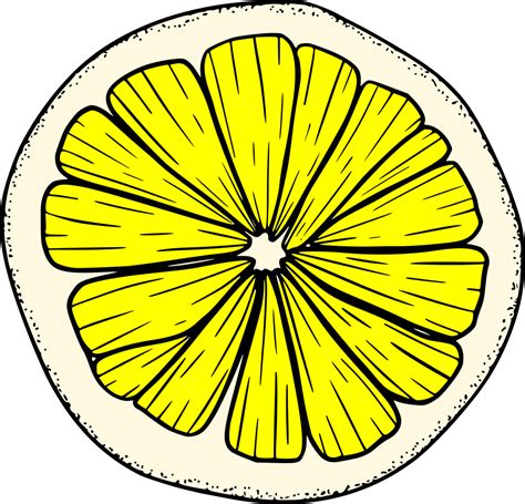 Lemon Cut Half Slice PNG Transparent OnlyGFX