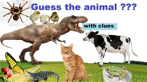 Guess The Animal With Clues Part 2 Youtube