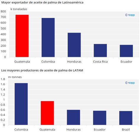 Guatemala Emerge Como Actor Clave En La Industria Del Aceite De Palma