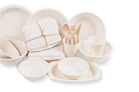 Bagasse Food Packaging