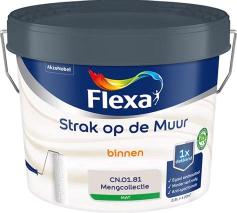 Flexa Strak Op De Muur Muurverf Mengcollectie CN 01 81 2 5