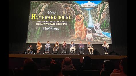 Homeward Bound Th Highlights Youtube