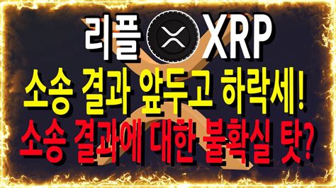 리플xrp 소송 결과 앞두고 하락세 결과에 대한 불확실 탓 Youtube