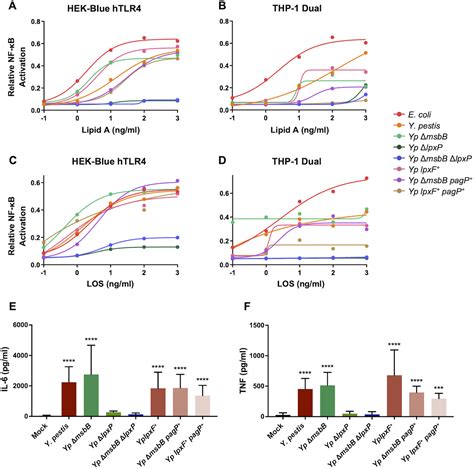 Lipid A Variants Activate Human Tlr And The Noncanonical Inflammasome