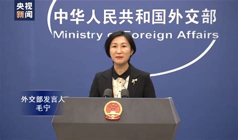 中国外交部新任发言人毛宁亮相！今日正式主持外交部例行记者会 每日经济网