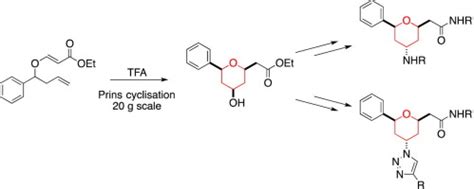 用于药物发现的4 氨基四氢吡喃支架的合成 Bioorganic Medicinal Chemistry X MOL