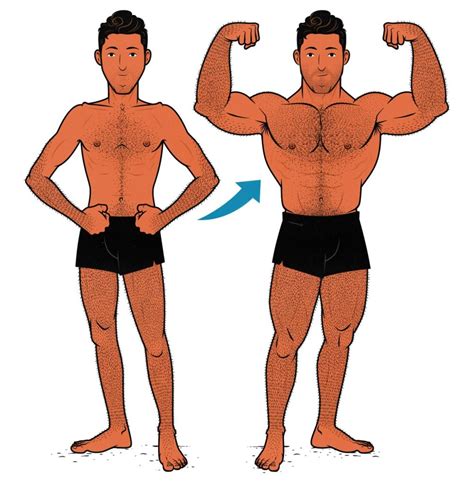 Hardgainers Why Is It So Hard For Skinny Guys To Gain Weight