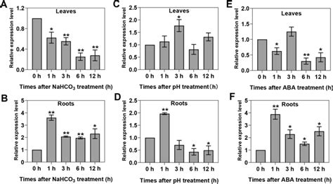 Expression Patterns Of Gspks Under Nahco Ph And Aba Treatments