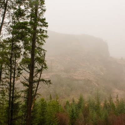 Hiking Ireland: Gougane Barra Forest Park - The Idyll