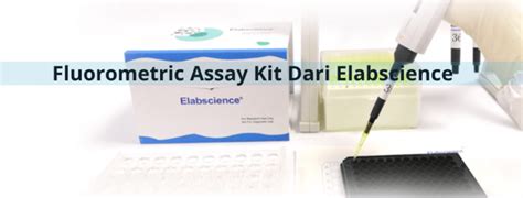 Baru Fluorometric Assay Kit Dari Elabscience Pt Indogen Intertama