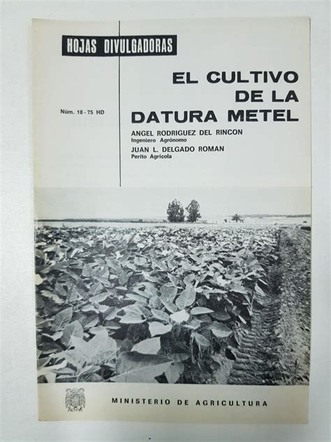 El Cultivo De La Datura Metel Hojas Divulgadoras By Angel Rodriguez