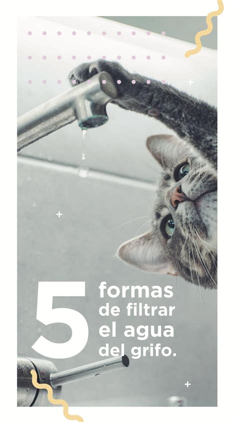 Formas De Filtrar El Agua Del Grifo Grifo De Agua Agua Filtro De Agua