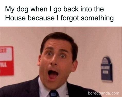 30 Hilarious Memes All About The Office” That True Fans Might