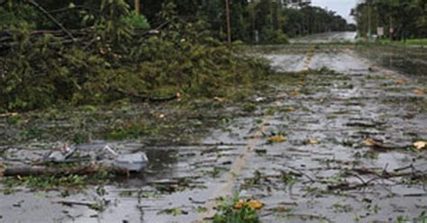 G1 Chuva forte em Brasília derruba árvores e alaga prédio da UnB