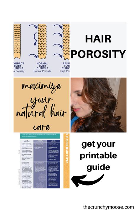 Hair Porosity Test for Low, High, & Normal Porosity with Printable Guide | Hair porosity, Hair ...