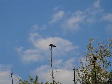 Fitness... Fashion... Family: Brisk Walking 