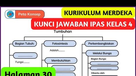 Kunci Jawaban Ipas Kelas 4 Sd Halaman 30 Semester 1 Kurikulum Merdeka