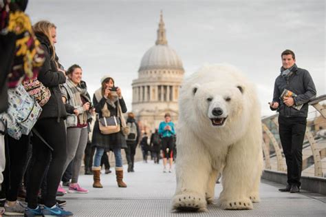 Mind the gap! Polar bear roams around London Underground | Daily Star