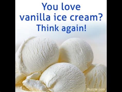 Most Vanilla Ice Creams Are Flavored With Beaver Anal Glands Also Known As Castoreum YouTube