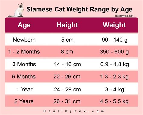 Male Female Siamese Cat Weight Chart By Age