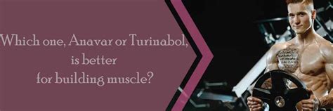 Which One Anavar Or Turinabol Is Better For Building Muscle