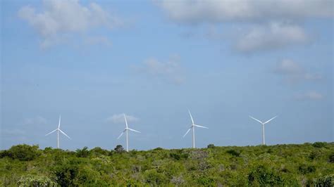 Globalink Chinas Green Energy In The Eyes Of Brazilians Youtube