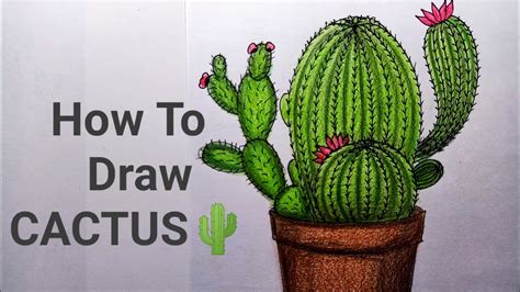 How To Draw Cactus For Beginners Step By Step Youtube