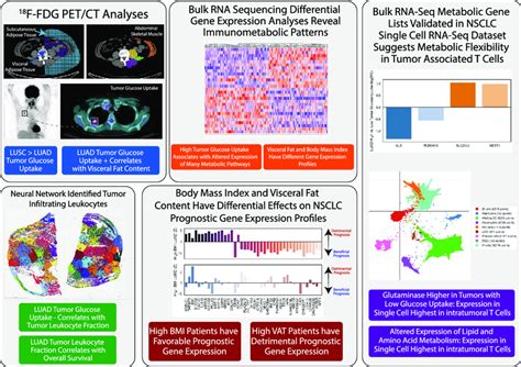 Overview Of A Multimodal Approach To Immunometabolic Phenotyping Of