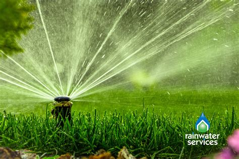 Should You Get An Irrigation System? – Rainwater Services