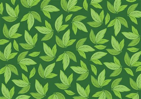 Free Background Daun Vector 142514 Vector Art At Vecteezy