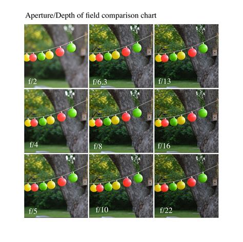 I Created My Own Depth Of Field Chart Depth Of Field Aperture Depth