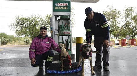 Patita y Patán los callejeritos más regalones de una estación de